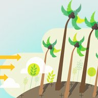 Ролокасети Класік і Економ